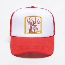 Load image into Gallery viewer, New Brand Animal Caps